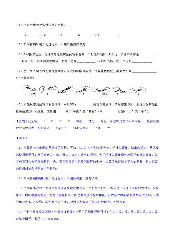浙教版科学中考集训：11.1 经典实验探究-生物分类型汇编（含解析）