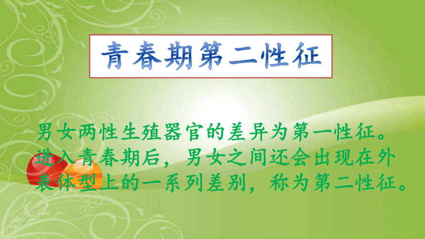 青春期第二性征发育特点课件19张ppt体育与健康五至六年级人教版