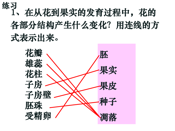 71綠色開花植物的有性生殖和發育果實和種子的形成課件21張ppt