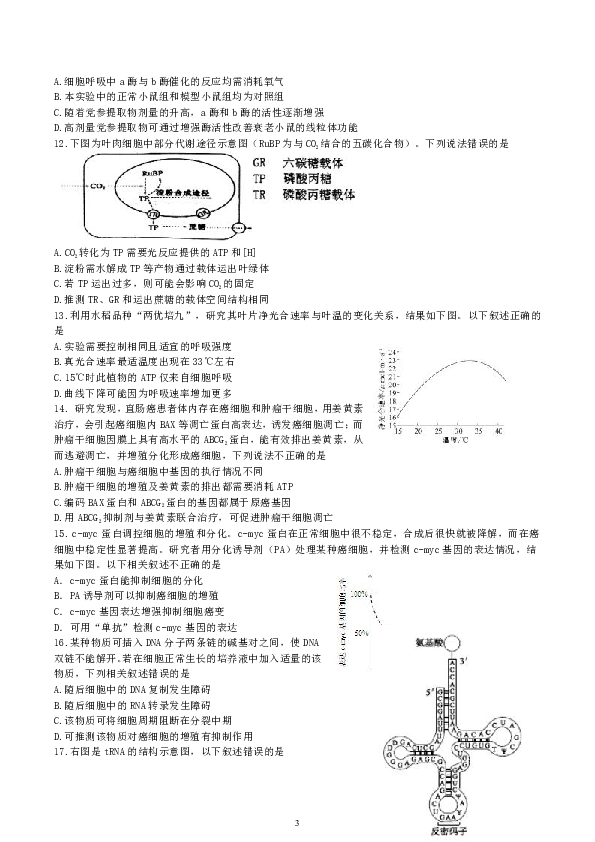 北京市第四中学2020届高三上学期期中考试生物试题