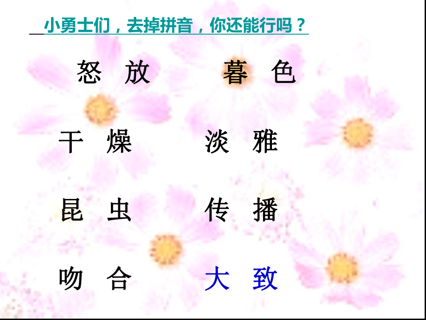 13 花钟课件3