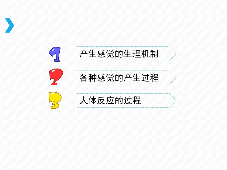 《感觉》课件