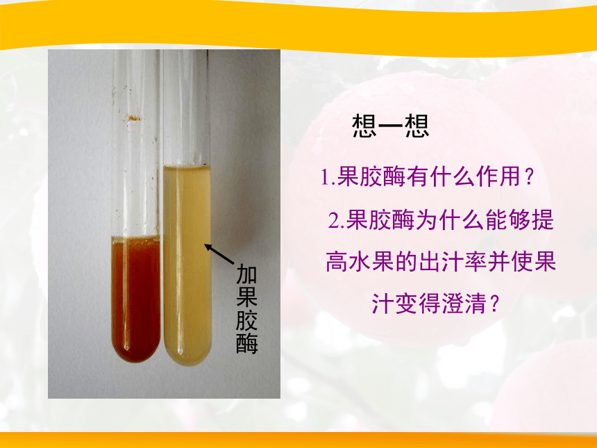 人教课标版高中生物选修1教学课件：4.1《果胶酶在果汁生产中的作用》（共19张PPT）
