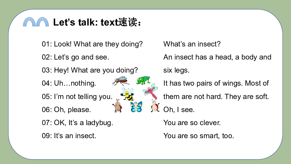 Unit2(lesson2) What's an insect 课件(共31张PPT)