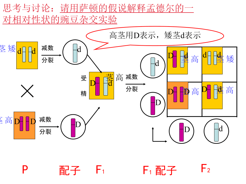 高中生物人教版必修二第二章第2节 基因位于染色体上 课件  37张PPT