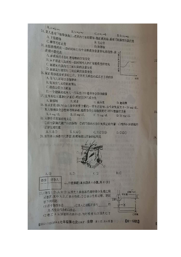 山西省2019-2020学年下学期七年级第三次月考生物试题（扫描版，有答案）