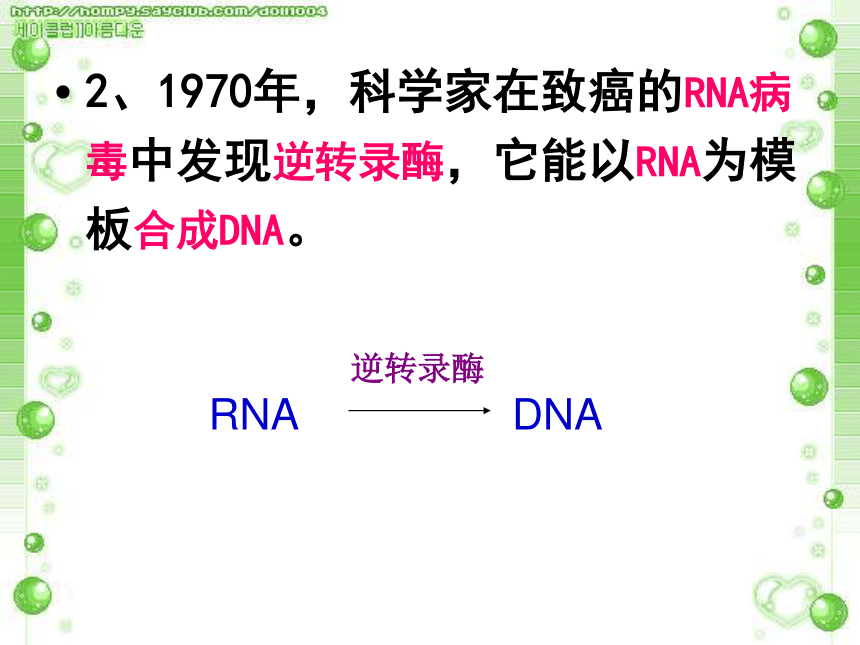 人教版高中生物必修二第四章第二节 基因对性状的控制（31张PPT）