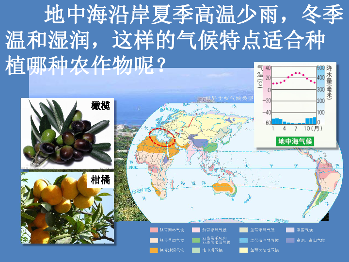 湘教版全册综合【课件设计】气候专题21ppt