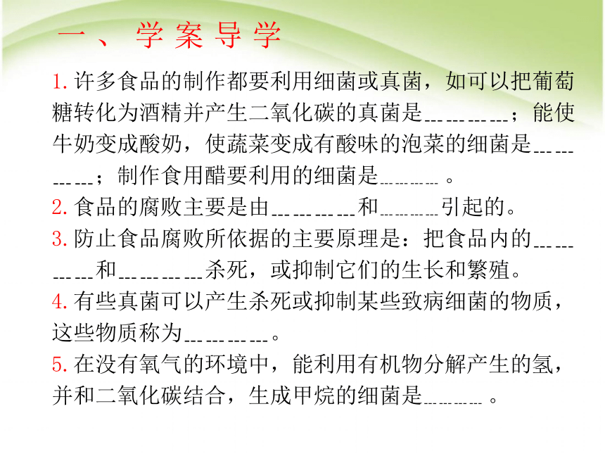 人类对细菌真菌的利用 课件 22张PPT