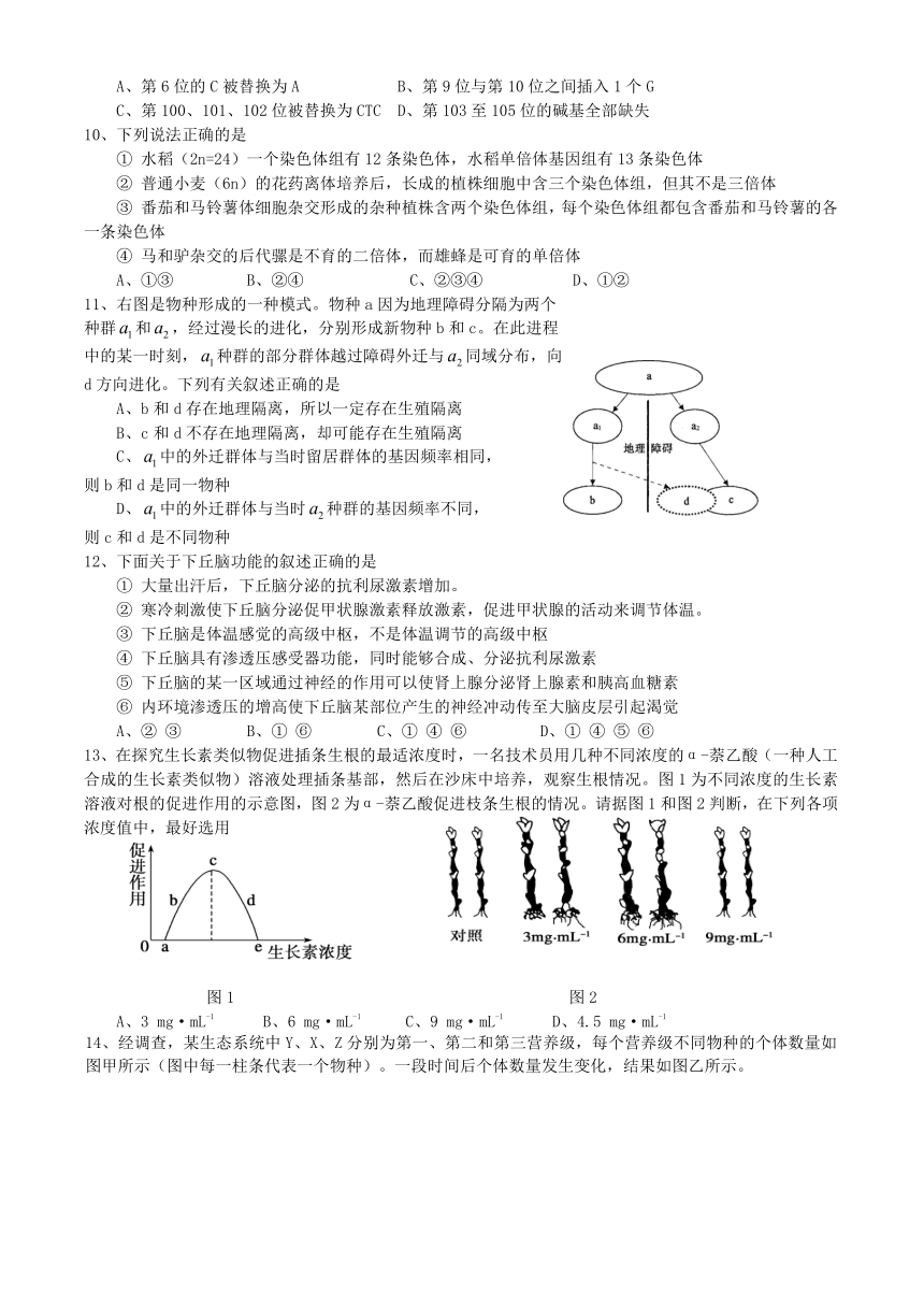 高三生物自主作业四