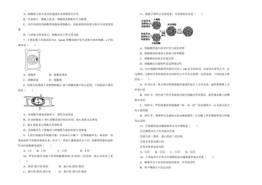 2018-2019学年 高中生物第四单元细胞的物质输入和输出训练卷