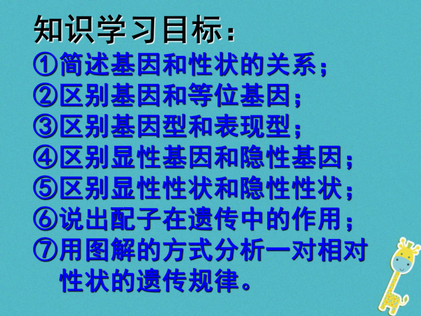 性状遗传有一定的规律性课件(31张）