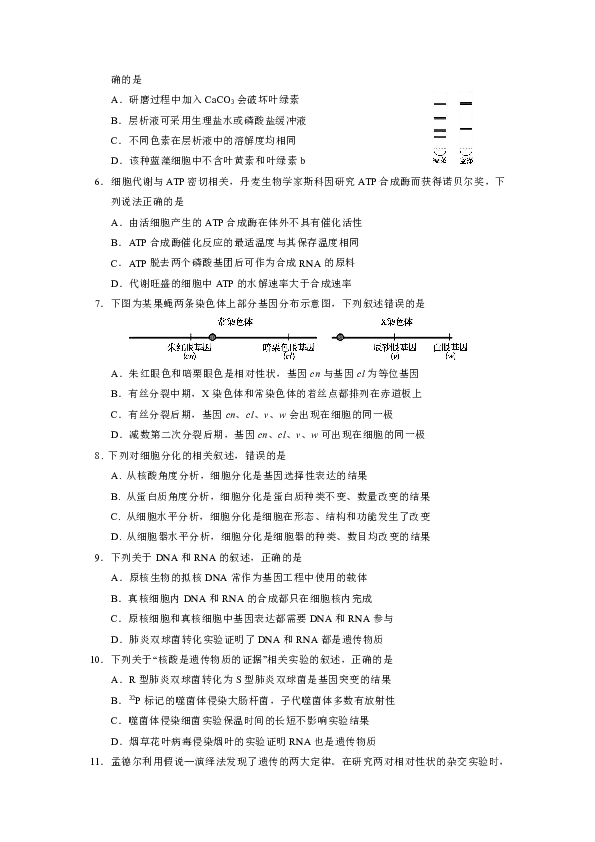 北京市朝阳区2019-2020学年高三生物期中质量检测 生物