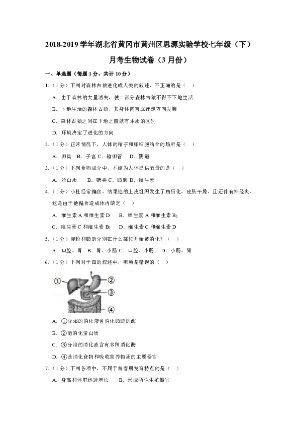 2018-2019学年湖北省黄冈市黄州区思源实验学校七年级（下）月考生物试卷（3月份）