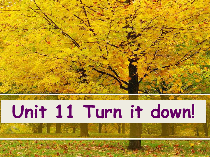 新概念英语青少版3A：Unit 11 Turn it down! 课件（35张PPT）
