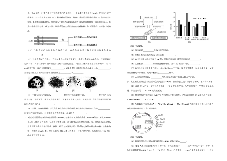 山东省（新高考）2021届高三下学期3月第二次模拟考试卷 生物（二）Word版含解析