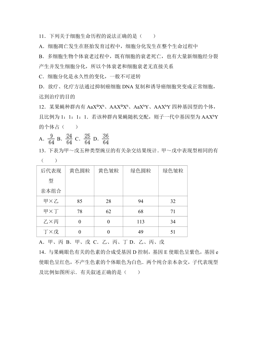 安徽省淮南二中2017届高三（上）第四次月考生物试卷（12月份）（解析版）