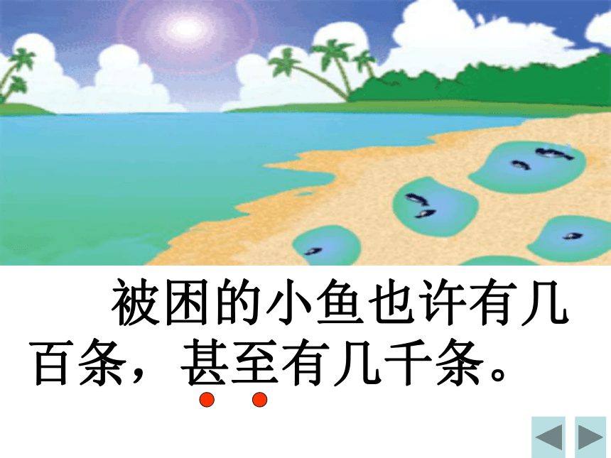 28《浅水洼里的小鱼》课件（42张）