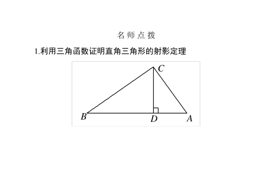 1.4 直角三角形的射影定理 课件5