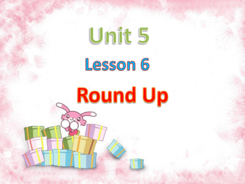 Unit 5 Lesson 6 Round Up 课件