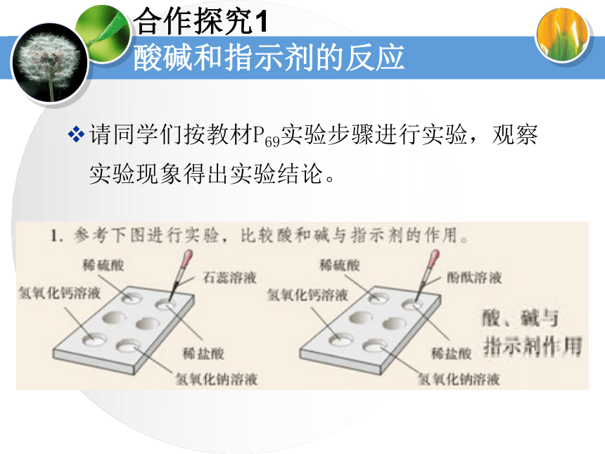 实验活动6 酸、碱的化学性质（15张ppt）