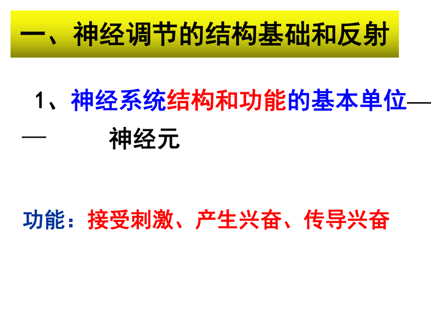 3.2.1通过神经系统的调节（课件共75张PPT）