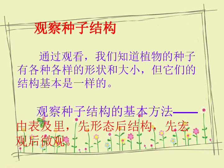 三年级上册科学课件-《果实和种子形成认识》课件2北京版(共20张PPT)