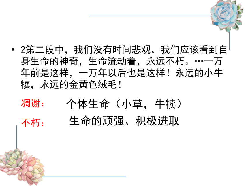 第16课散文二篇永久的生命课件共33张ppt20212022学年部编版语文八