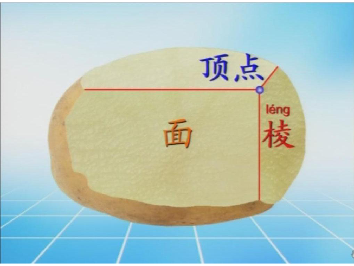 六年级上册数学课件 第一章 1、长方体和正方体的认识  苏教新课标(共21张PPT)