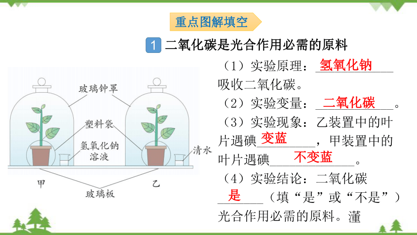 碳氧平衡思维导图图片