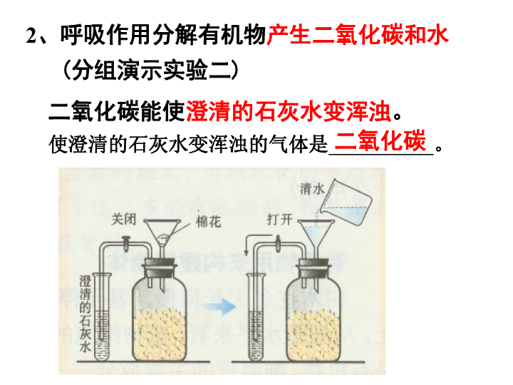 人教版七年级上册生物  3.5.2 绿色植物的呼吸作用 课件(17张PPT)