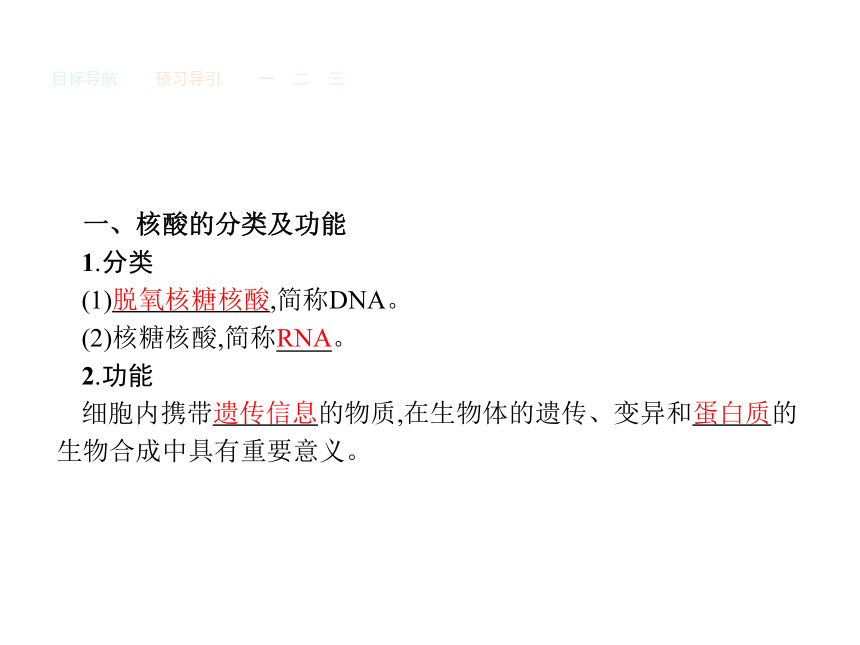 人教版生物必修1同步教学课件：2.3 遗传信息的携带者——核酸