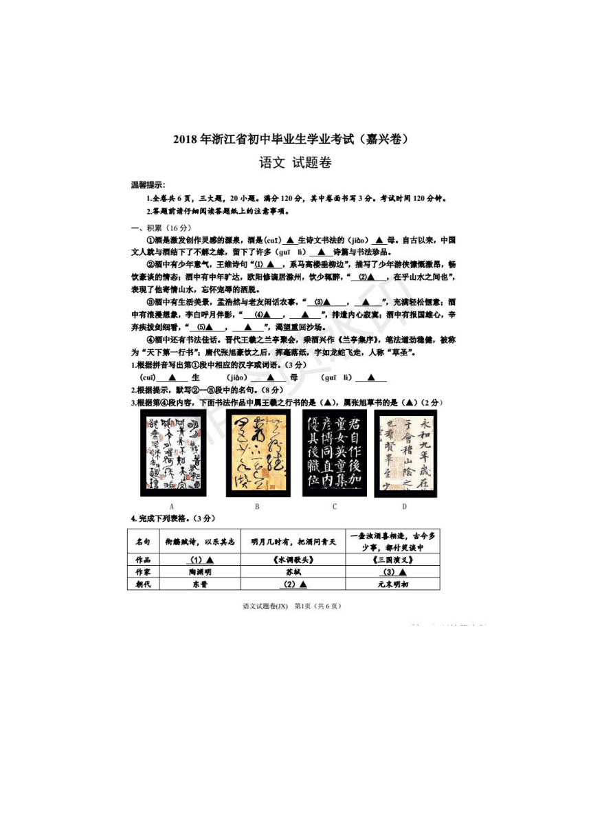 浙江省2018年初中学业水平考试（嘉兴卷）语文试题（图片版，答案缺第一页）