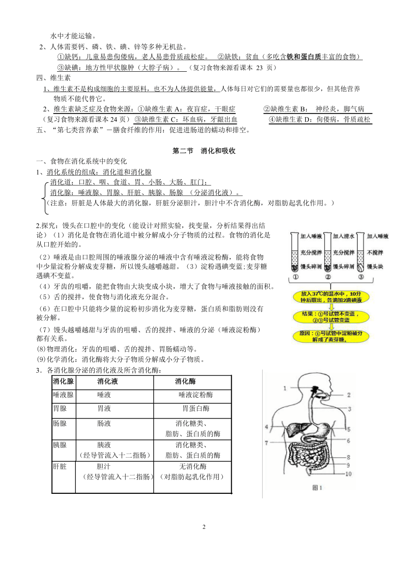 （最新版）七年级下册人教版生物复习提纲