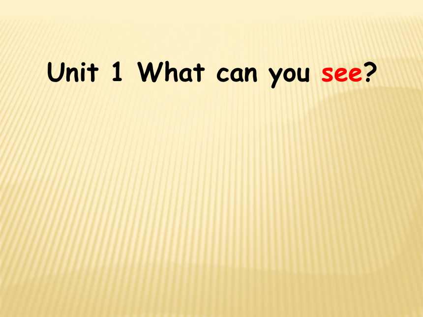 Unit 1 What can you see? 课件