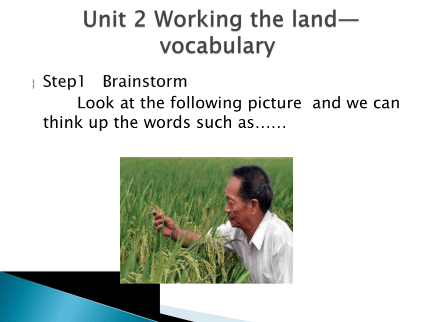高中英语人教（新课标）必修4 Unit2  Working the land Learning about Language 课件（22张ppt）