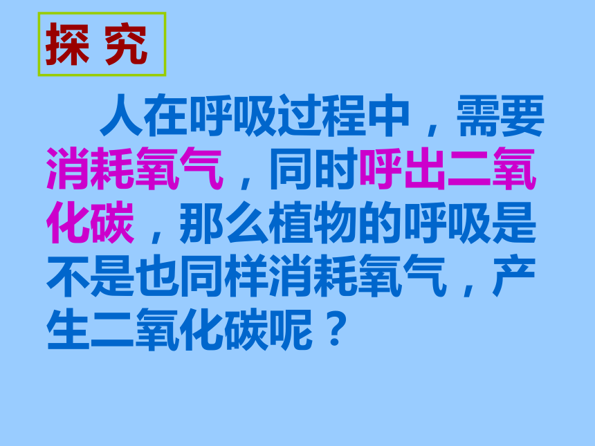 第四節 植物的呼吸作用 課件(36張ppt)