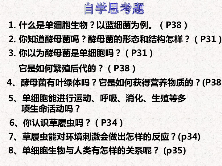 苏科版七年级下册生物 4.9.3 单细胞的生物体 课件 (共22张PPT)