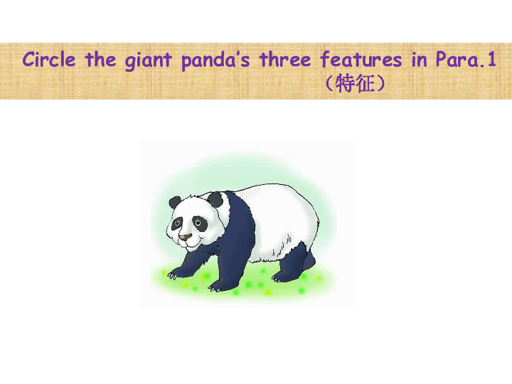 Module 2 Amazing things Unit 5 Encyclopaedias（the giant panda ）课件（18张PPT）