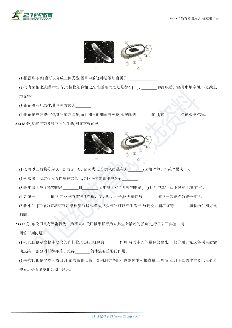 期末拓展模拟卷-2020-2021学年八年级（山西太原）生物上册期末复习测试卷（含答案）