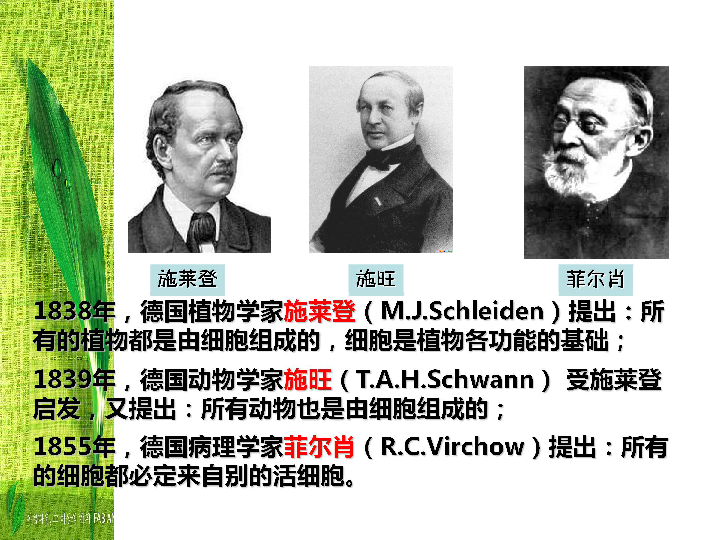 第一节 细胞概述显微镜胡克和他的显微镜施莱登施旺菲尔肖1838年,德国