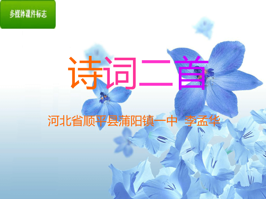 西江月 春望 教学课件