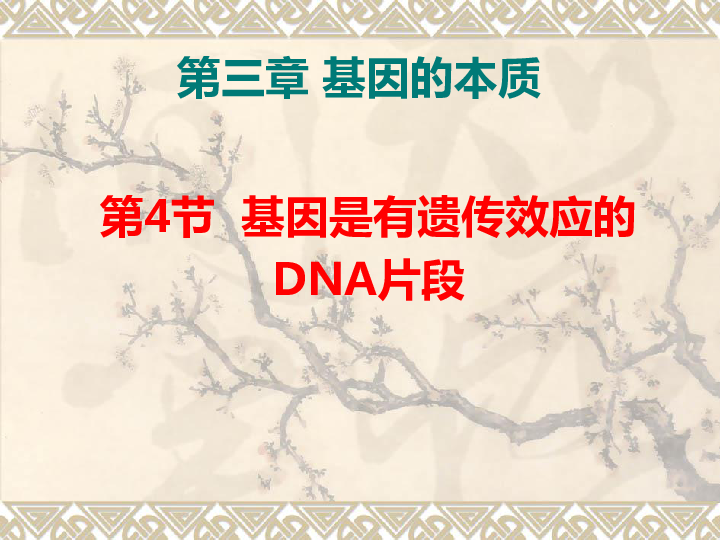 人教版 必修2  第三章 基因的本质 第4节 基因是有遗传效应的DNA片段课件共40张PPT