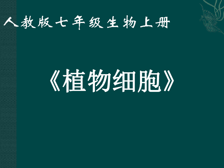 人教版七年级生物上册第二单元第一章《第二节　 植物细胞》 课件（22张PPT）