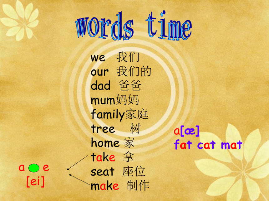 Unit 11 Our family tree 课件（58张）