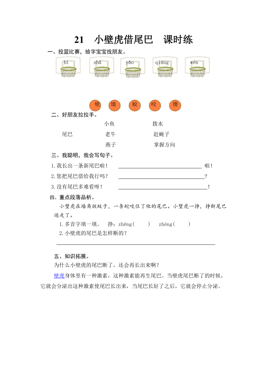 21 小壁虎借尾巴  课时训练 （含答案）