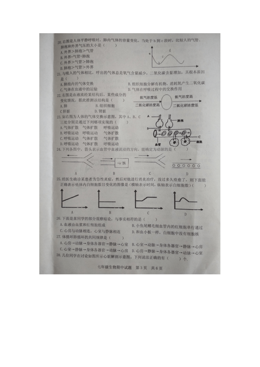 （首发）山东省日照市2017-2018学年度下学期期中质量检测七年级生物试题（扫描版，含答案）