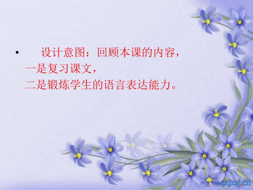 《唯一的听众》说课课件