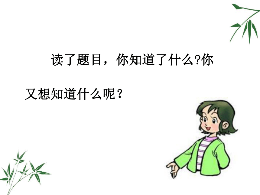 皮巧根桥课件 (共17张PPT)