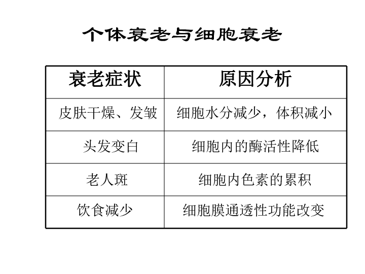 人教版高一上学期生物课件：6.3 细胞的衰老和凋亡  共36张PPT